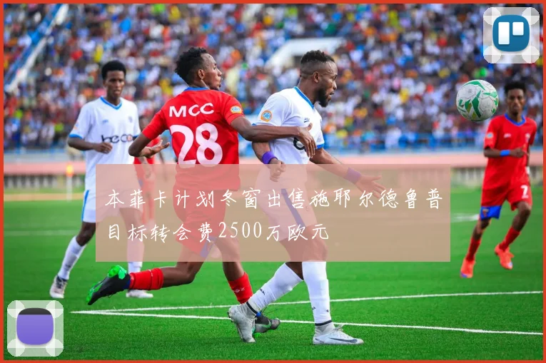 本菲卡计划冬窗出售施耶尔德鲁普目标转会费2500万欧元